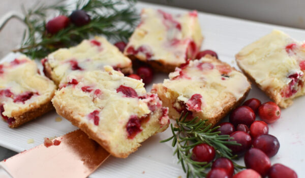 Cranberry-Christmas-Cake-2.jpg