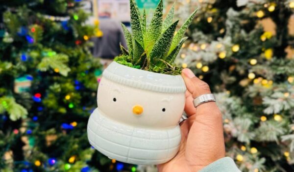 Lowes-Snowman-Planter-.jpg